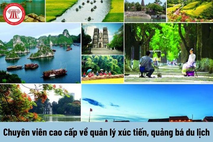 Xu hướng Nữ diễn viên Đẹp hơn thiên: Hotspot Matrix tiết lộ bí quyết video viral