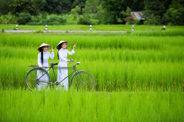 Xu hướng Victoria Beckham lên chức: Hotspot Matrix tiết lộ bí quyết video viral